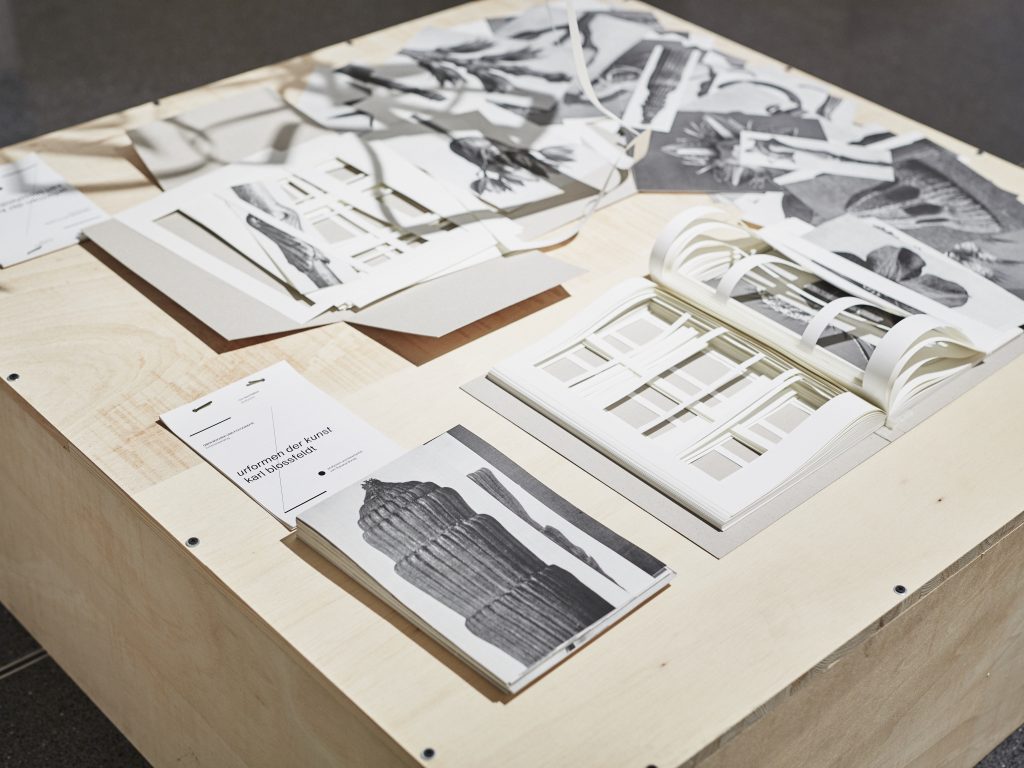 Buecher_fotografie_07